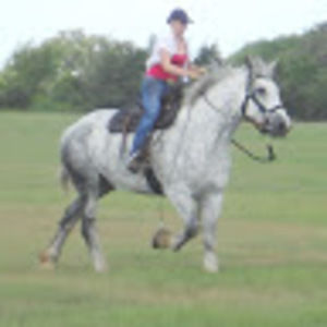 Meet your Posher, Jaime